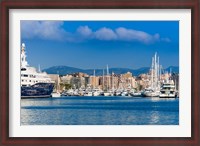 Framed Palma de Mallorca harbor, Majorca, Balearic Islands, Spain