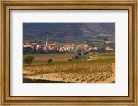 Framed Village of Brinas surrounded by Vineyards, La Rioja Region, Spain