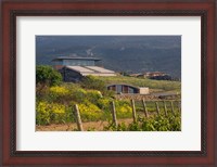 Framed Bodegas Baigorri in Rioja Alavesa, Spain