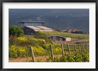 Framed Bodegas Baigorri in Rioja Alavesa, Spain