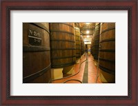 Framed Large Oak tanks holding wine, Bodega Muga Winery, Haro village, La Rioja, Spain