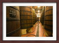 Framed Large Oak tanks holding wine, Bodega Muga Winery, Haro village, La Rioja, Spain