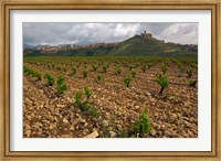 Framed Vineyard in stony soil with San Vicente de la Sonsierra Village, La Rioja, Spain