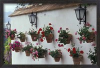 Framed Geraniums along White Wall of Palacio de Mondragon, Ronda, Spain