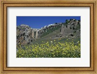 Framed Wildflowers in El Tajo Gorge and Punte Nuevo, Ronda, Spain