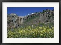 Framed Wildflowers in El Tajo Gorge and Punte Nuevo, Ronda, Spain