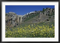 Framed Wildflowers in El Tajo Gorge and Punte Nuevo, Ronda, Spain