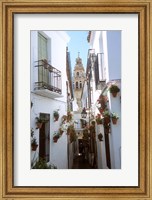 Framed Calleja de las Flores (Flower Alley), Spain