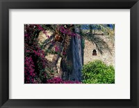 Framed Plams, Flowers and Ramparts of Alcazaba, Malaga, Spain