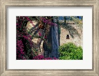 Framed Plams, Flowers and Ramparts of Alcazaba, Malaga, Spain