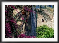 Framed Plams, Flowers and Ramparts of Alcazaba, Malaga, Spain