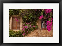 Framed Flower-covered Buildings, Old Town, Ciudad Monumental, Caceres, Spain
