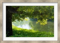 Framed Ason river Ramales de la Victoria Cantabria Spain