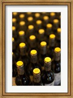 Framed Spain, Basque, Bodega Marques de Riscal Winery