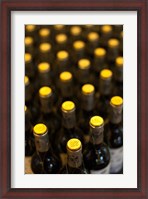 Framed Spain, Basque, Bodega Marques de Riscal Winery