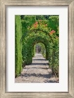 Framed Archway of trees in the gardens of the Alhambra, Granada, Spain