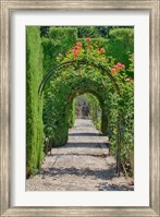 Framed Archway of trees in the gardens of the Alhambra, Granada, Spain