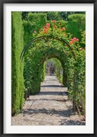 Framed Archway of trees in the gardens of the Alhambra, Granada, Spain