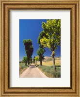 Framed Pilgrimage Road, El Camino de Santiago de Compostela, Castile, Spain