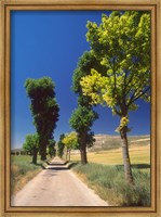 Framed Pilgrimage Road, El Camino de Santiago de Compostela, Castile, Spain