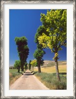 Framed Pilgrimage Road, El Camino de Santiago de Compostela, Castile, Spain