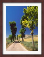 Framed Pilgrimage Road, El Camino de Santiago de Compostela, Castile, Spain