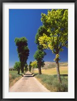 Framed Pilgrimage Road, El Camino de Santiago de Compostela, Castile, Spain