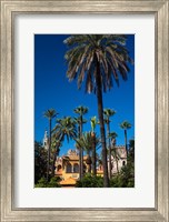 Framed Alcazar Gardens, Seville, Spain