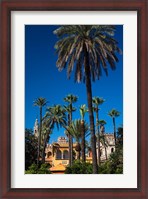 Framed Alcazar Gardens, Seville, Spain