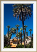 Framed Alcazar Gardens, Seville, Spain