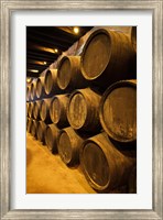 Framed Spain, Bodegas Gonzalez Byass, Winery Casks