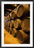 Framed Spain, Bodegas Gonzalez Byass, Winery Casks