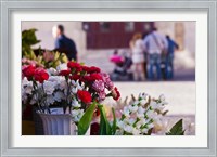 Framed Spain, Cadiz, Plaza de Topete Flower Market