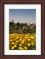 Framed Spain, Granada The Generalife gardens, Alhambra grounds