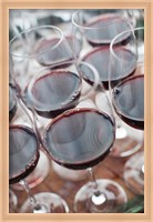 Framed Wine Tasting, Bodega Marques de Riscal Winery, Elciego, Basque Country Region, Spain