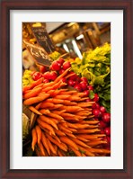 Framed Carrots, Central Market, Malaga, Spain