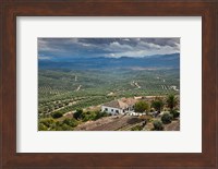 Framed Olive Groves, Ubeda, Spain