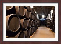 Framed Spain, Bodegas Gonzalez Byass, Winery Casks