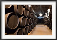 Framed Spain, Bodegas Gonzalez Byass, Winery Casks