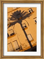 Framed Spain, Cadiz, Campo del Sur, Palm Shadow