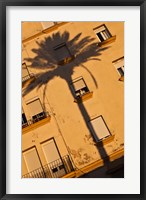 Framed Spain, Cadiz, Campo del Sur, Palm Shadow