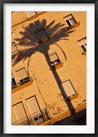 Framed Spain, Cadiz, Campo del Sur, Palm Shadow