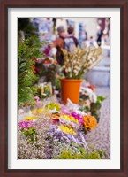 Framed Spain, Cadiz, Plaza de Topete Flower Market