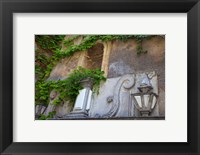 Framed Spain, Granada Ivy growing on the walls of the Alhambra