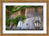 Framed Spain, Granada Ivy growing on the walls of the Alhambra