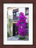 Framed Spain, Granada The entrance of Hotel America