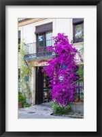 Framed Spain, Granada The entrance of Hotel America