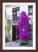 Framed Spain, Granada The entrance of Hotel America