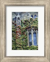 Framed Halls of Ivy, Oxford University, England