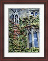 Framed Halls of Ivy, Oxford University, England